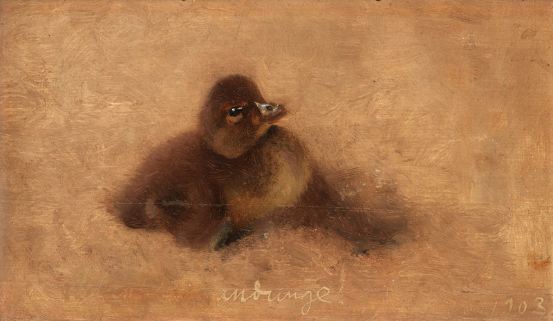 Duckling - Bruno Liljefors