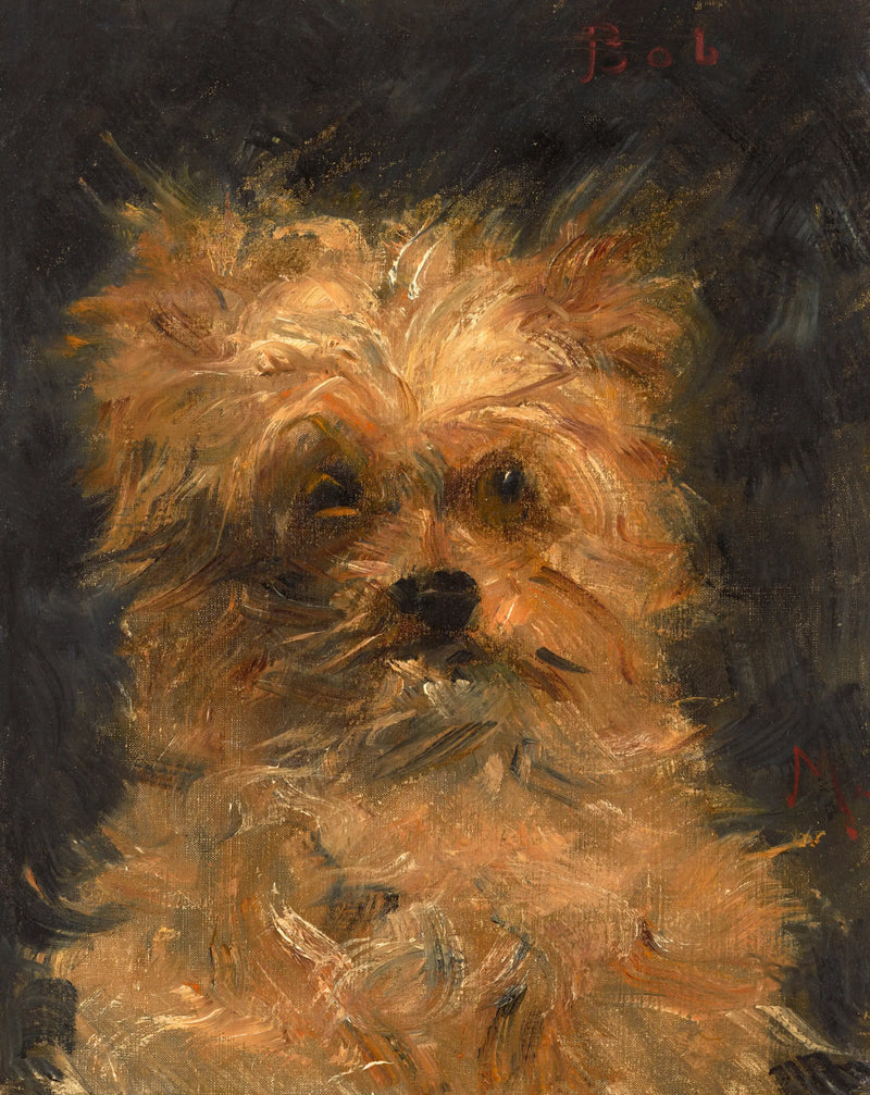 Bob, griffon dog - Édouard Manet