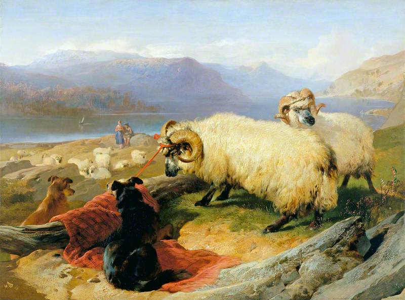 Béliers attachés - Edwin Henry Landseer