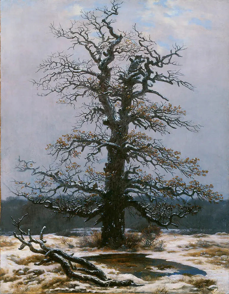 Oak Under the Snow - Caspar David Friedrich