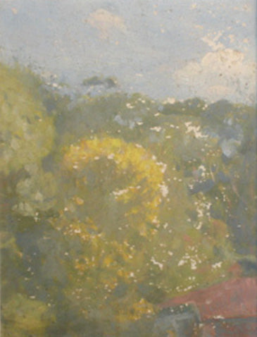 Flores de mon jardin - Eliseu Visconti