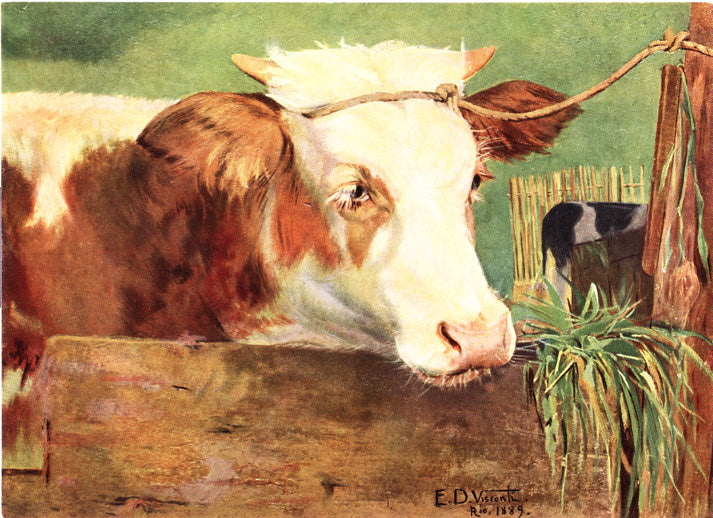 Novilho - Eliseu Visconti