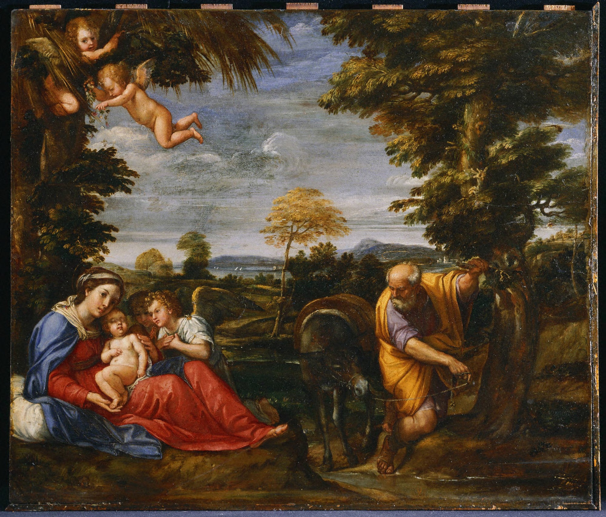Le Repos pendant la fuite en Égypte - Francesco Albani