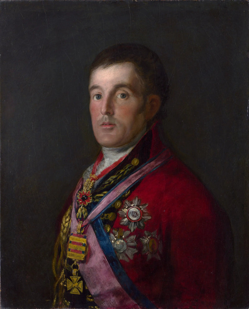 Portrait of the Duke of Wellington - Francisco de Goya