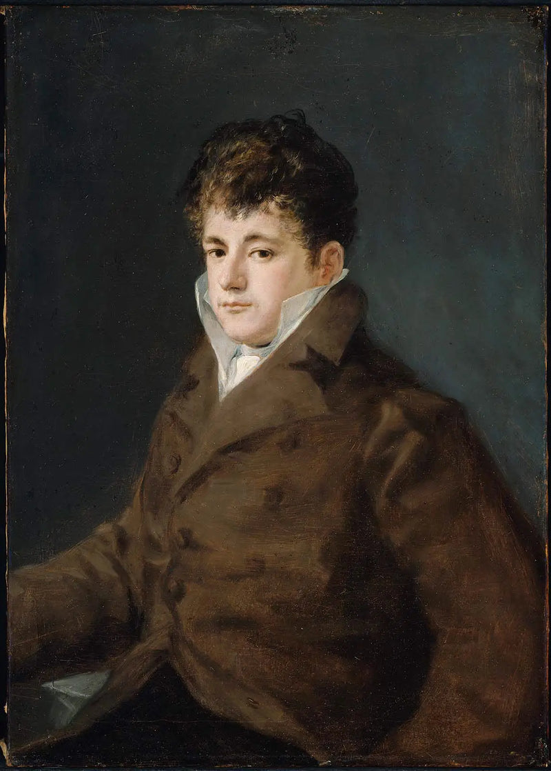 Portrait of a Young Man in Brown, Perhaps Javier Goya - Francisco de Goya