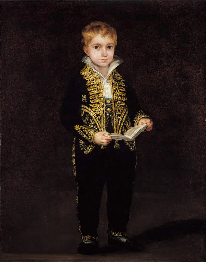 Portrait of Victor Guye - Francisco de Goya