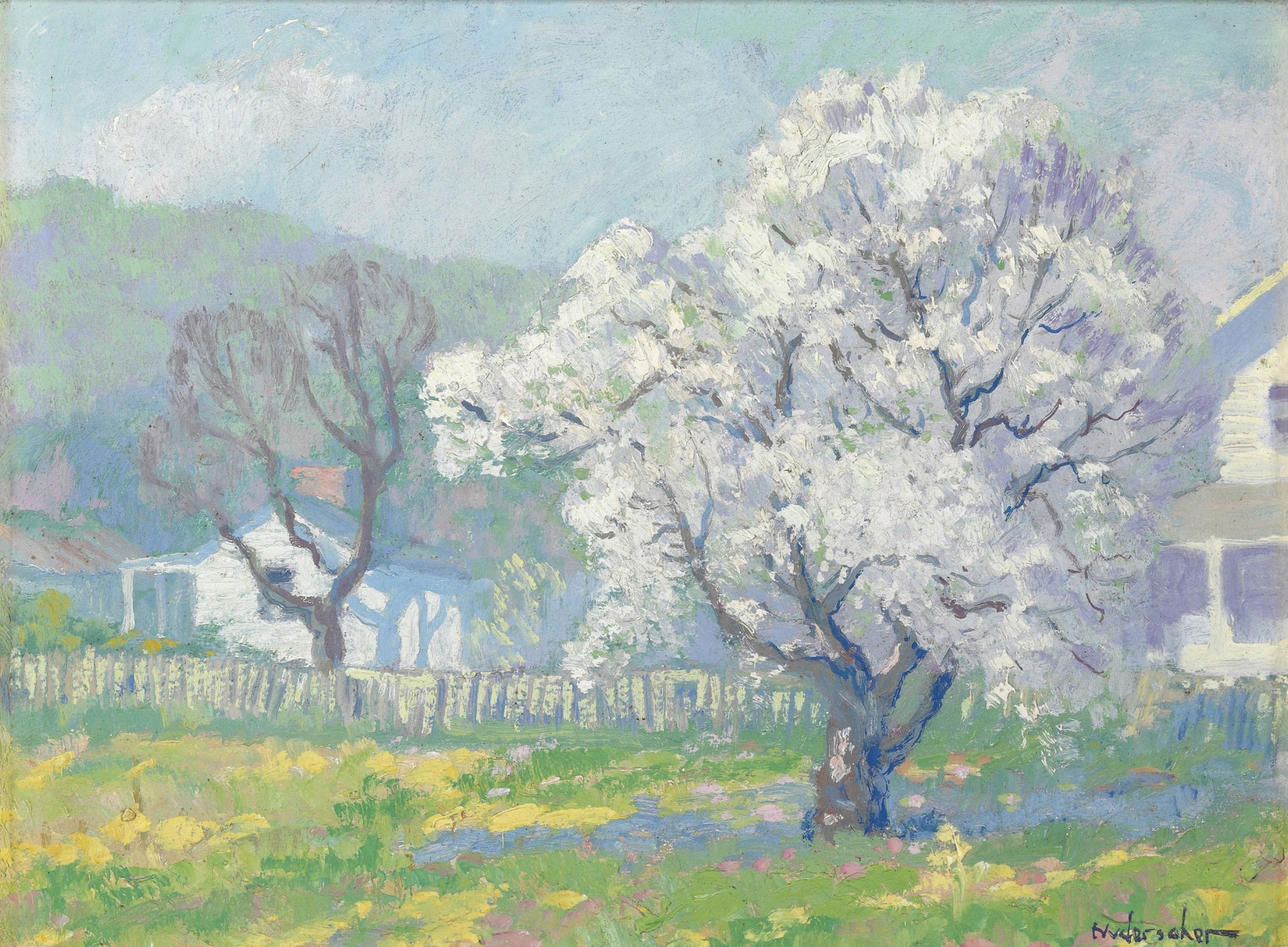 Cerisiers en fleurs, peinture de Frank Nuderscher