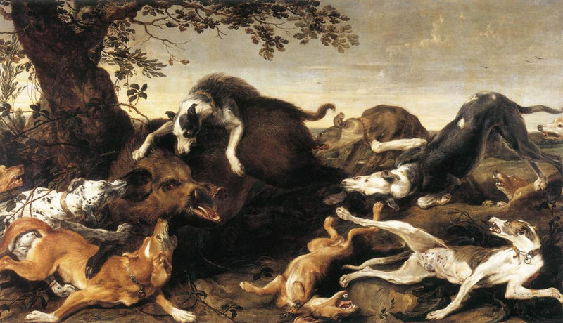 Chasse au sanglier - Frans Snyders