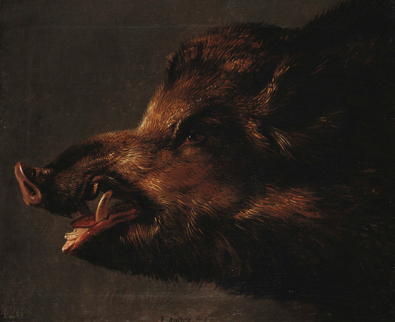 Une tête de sanglier - Frans Snyders