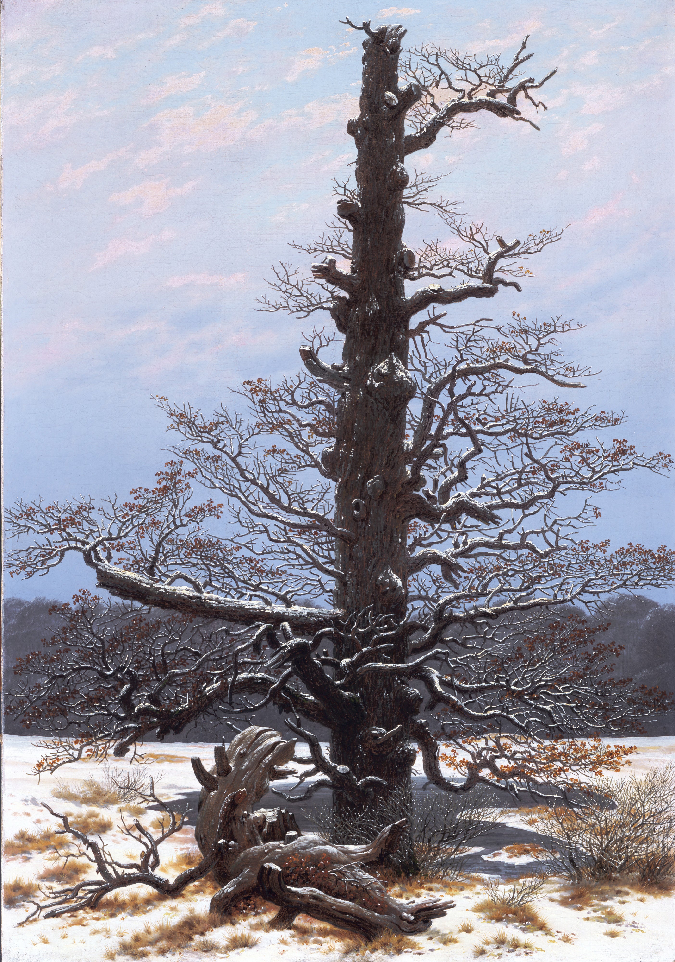 Reproduction du tableau « Chêne sous la neige - Caspar David Friedrich » par Alpha Reproduction en peinture à l’huile