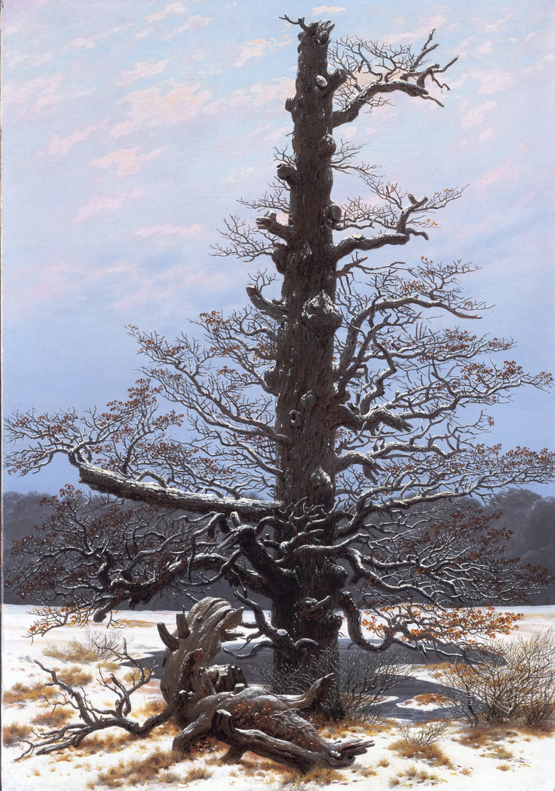 Oak Under the Snow - Caspar David Friedrich