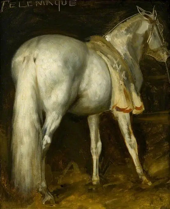 The Gray Horse 