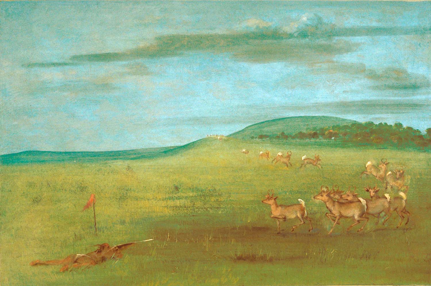 Tir sur une antilope attirée - George Catlin