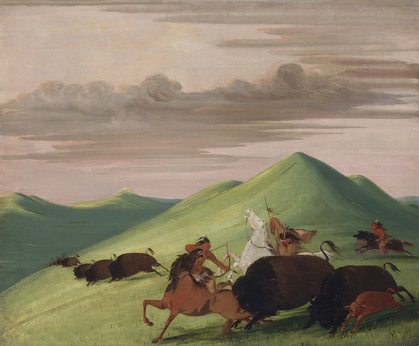 Chasse au bison, taureau protégeant une vache et son veau - George Catlin