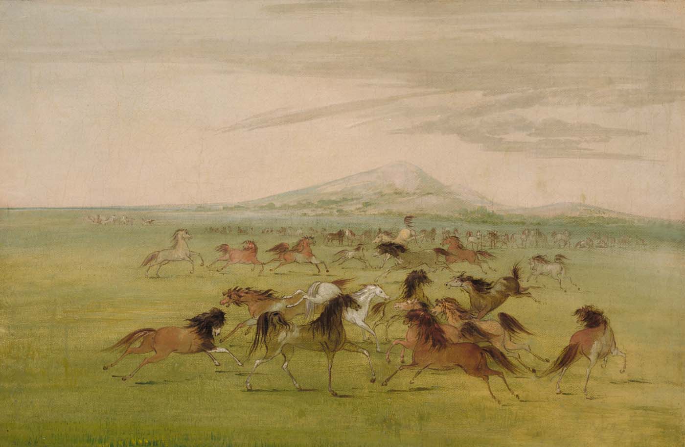Chevaux sauvages en jeu - George Catlin
