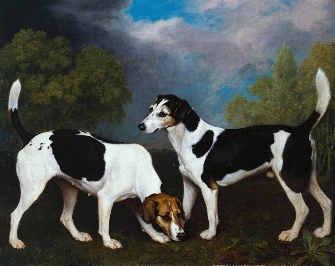 Un couple de Foxhounds - George Stubbs