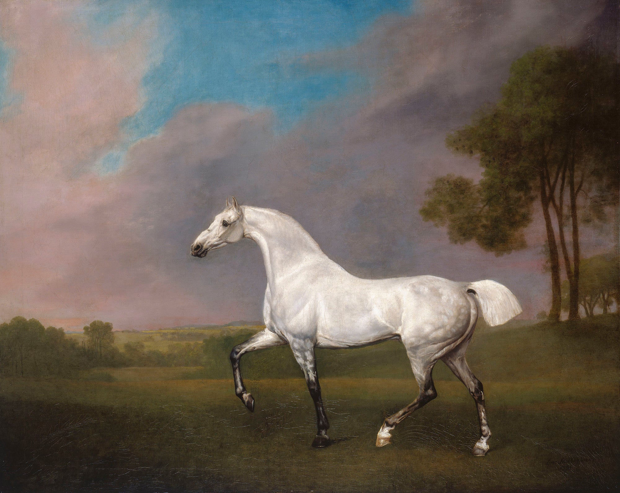 Un cheval gris - George Stubbs