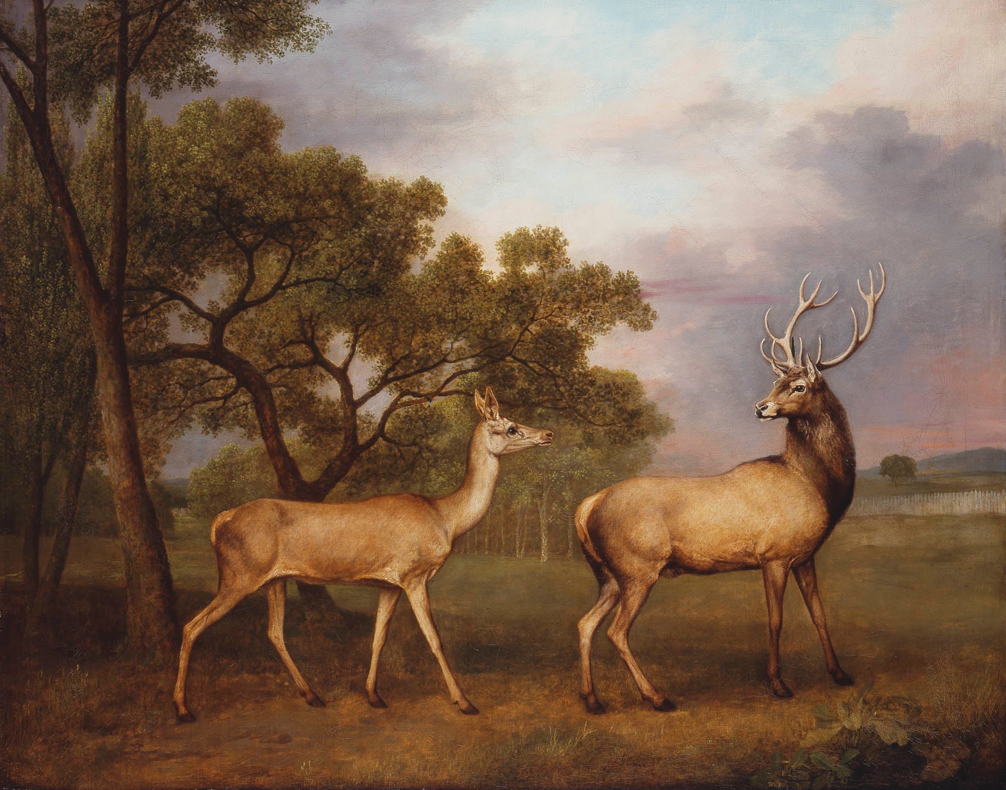 Un cerf élaphe mâle et une biche - George Stubbs