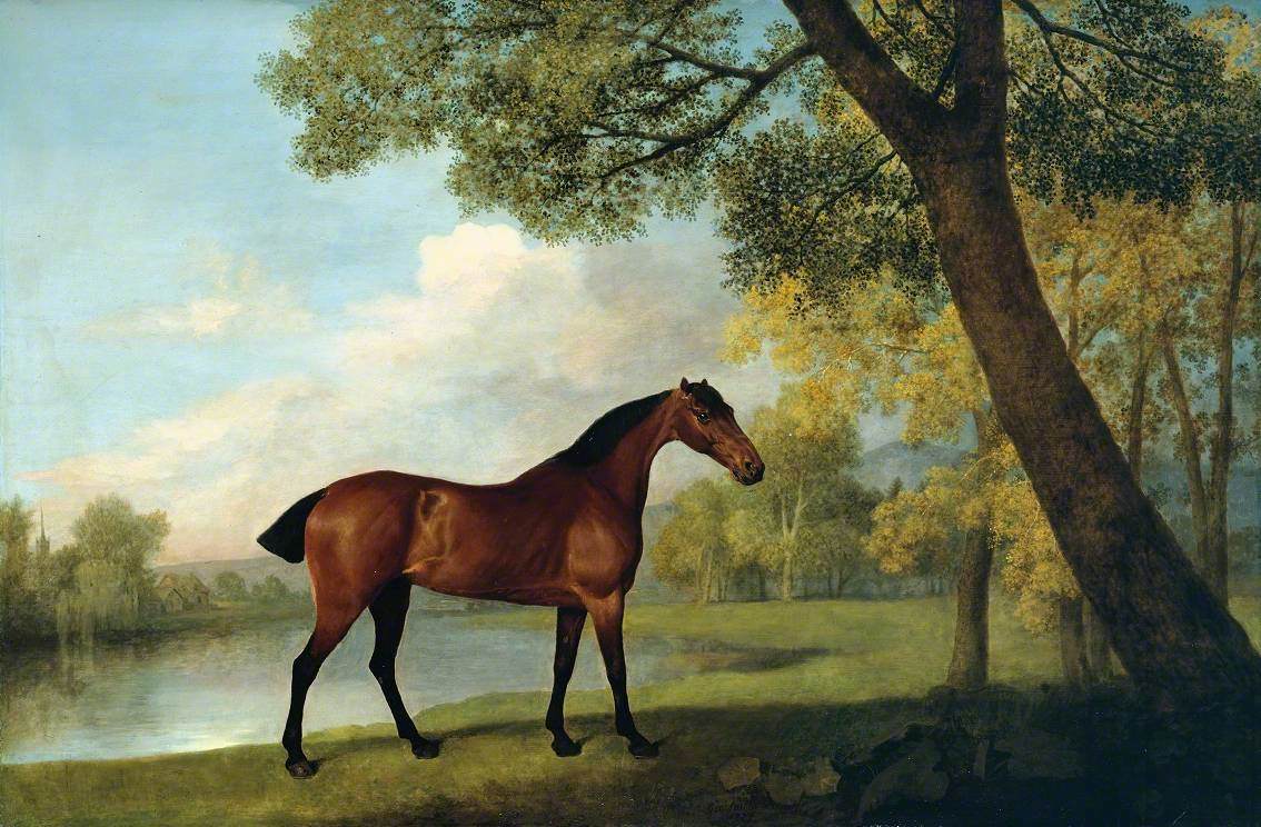 Hunter bai au bord d'un lac - George Stubbs