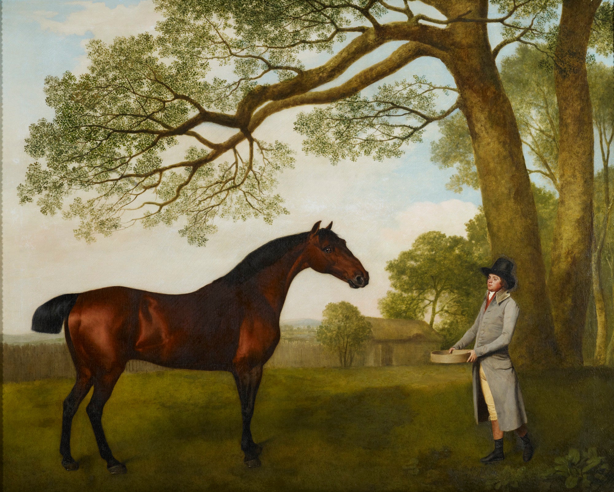John Gascoigne avec un cheval bai - George Stubbs