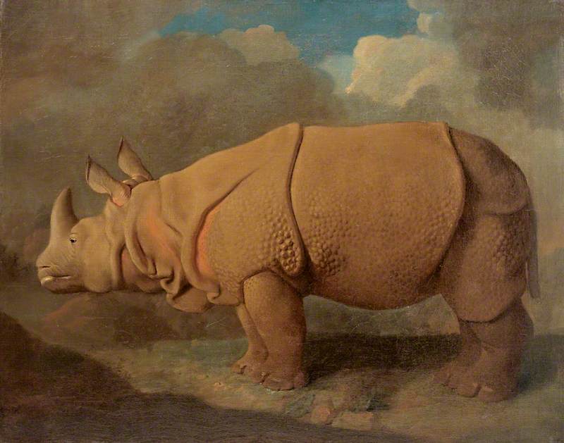 Rhinocéros - George Stubbs