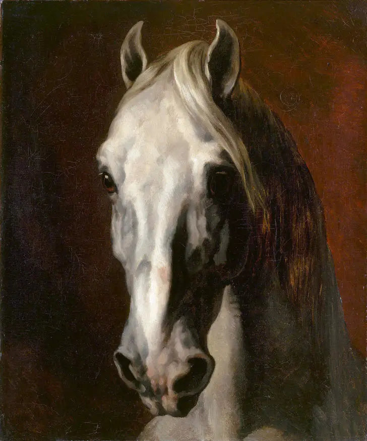 White Horse Head - Théodore Géricault