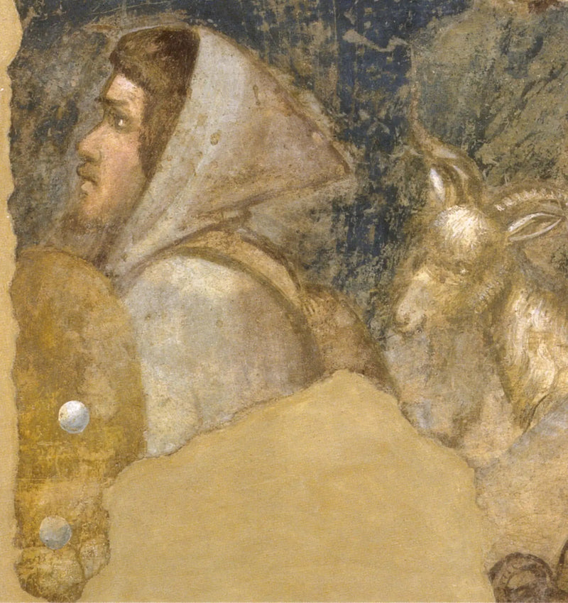 Head of a Shepherd - Giotto