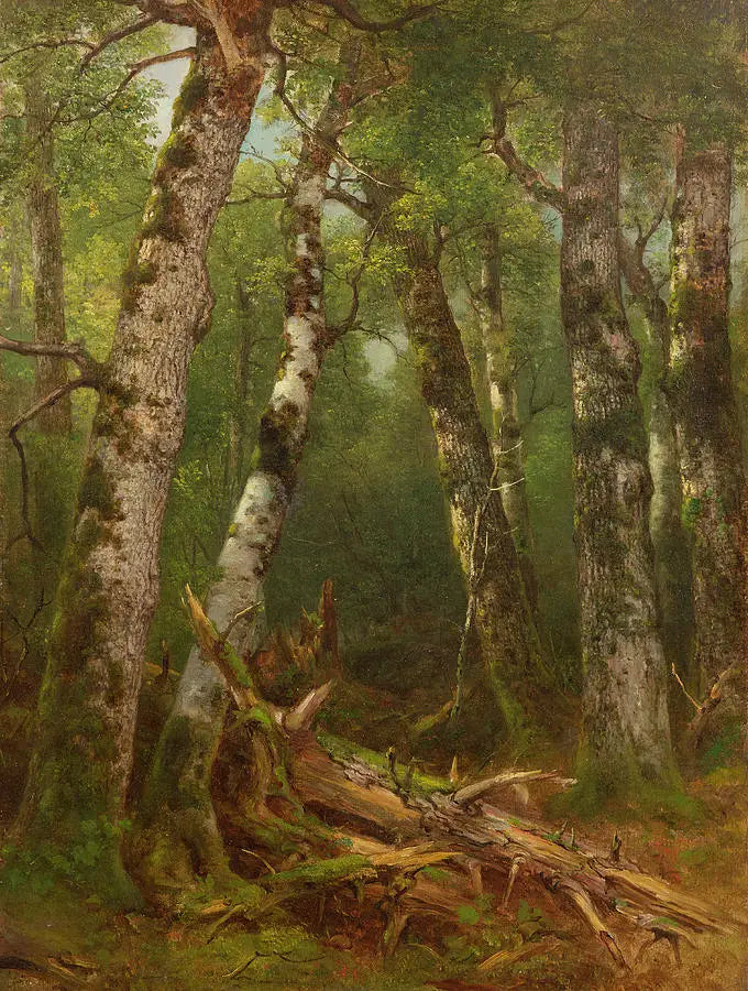 Tree Group - Asher Brown Durand