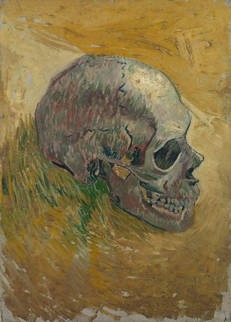 Skeleton Skull - Vincent van Gogh