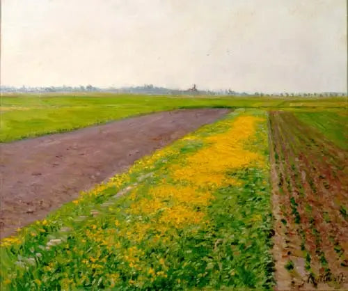 The Plain of Gennevilliers - Gustave Caillebotte