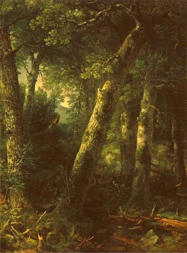 Forest in the Morning Light - Asher Brown Durand