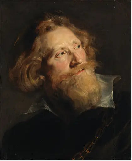 Bearded Man's Head - Peter Paul Rubens