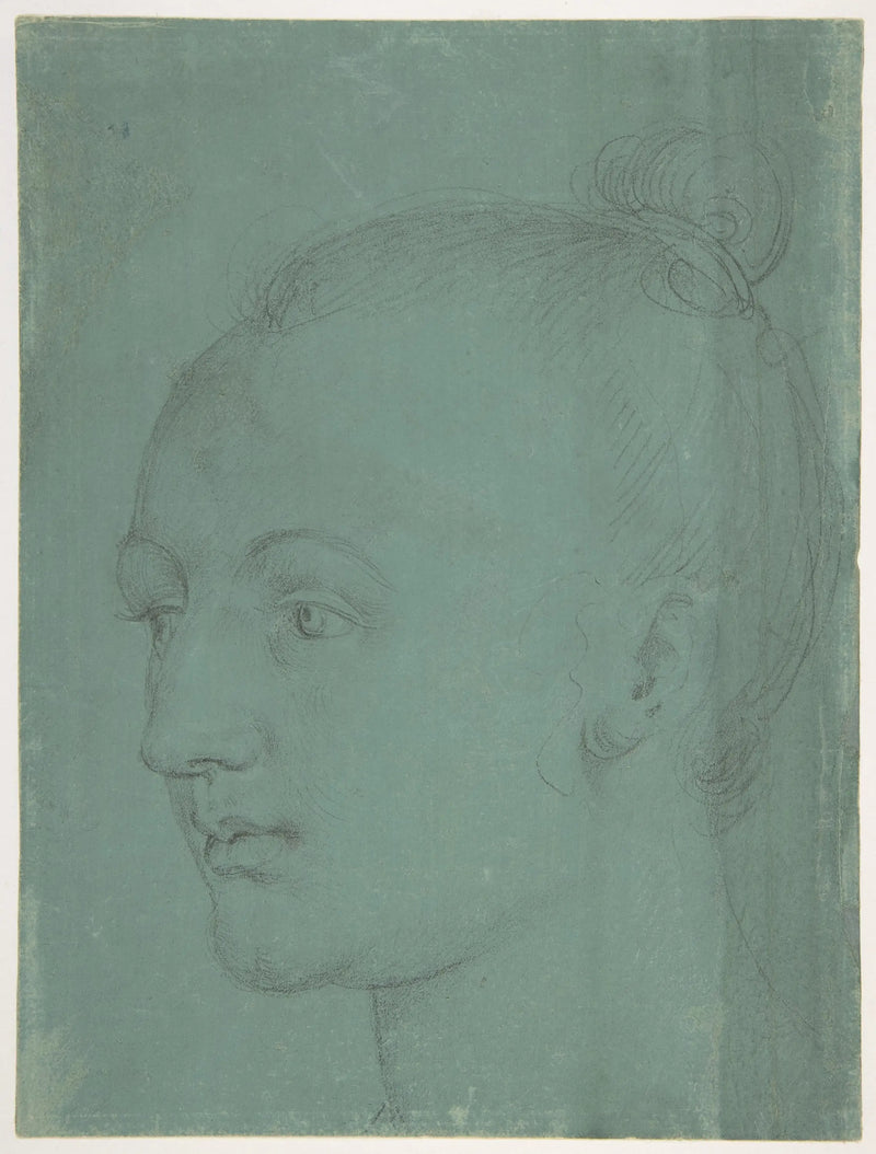 Head of a Young Woman - Albrecht Dürer