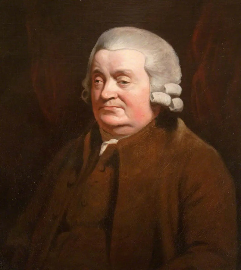 James Johnston (1721–1797), surgeon, prévôt de Dundee (1790–1791) - Henry Raeburn