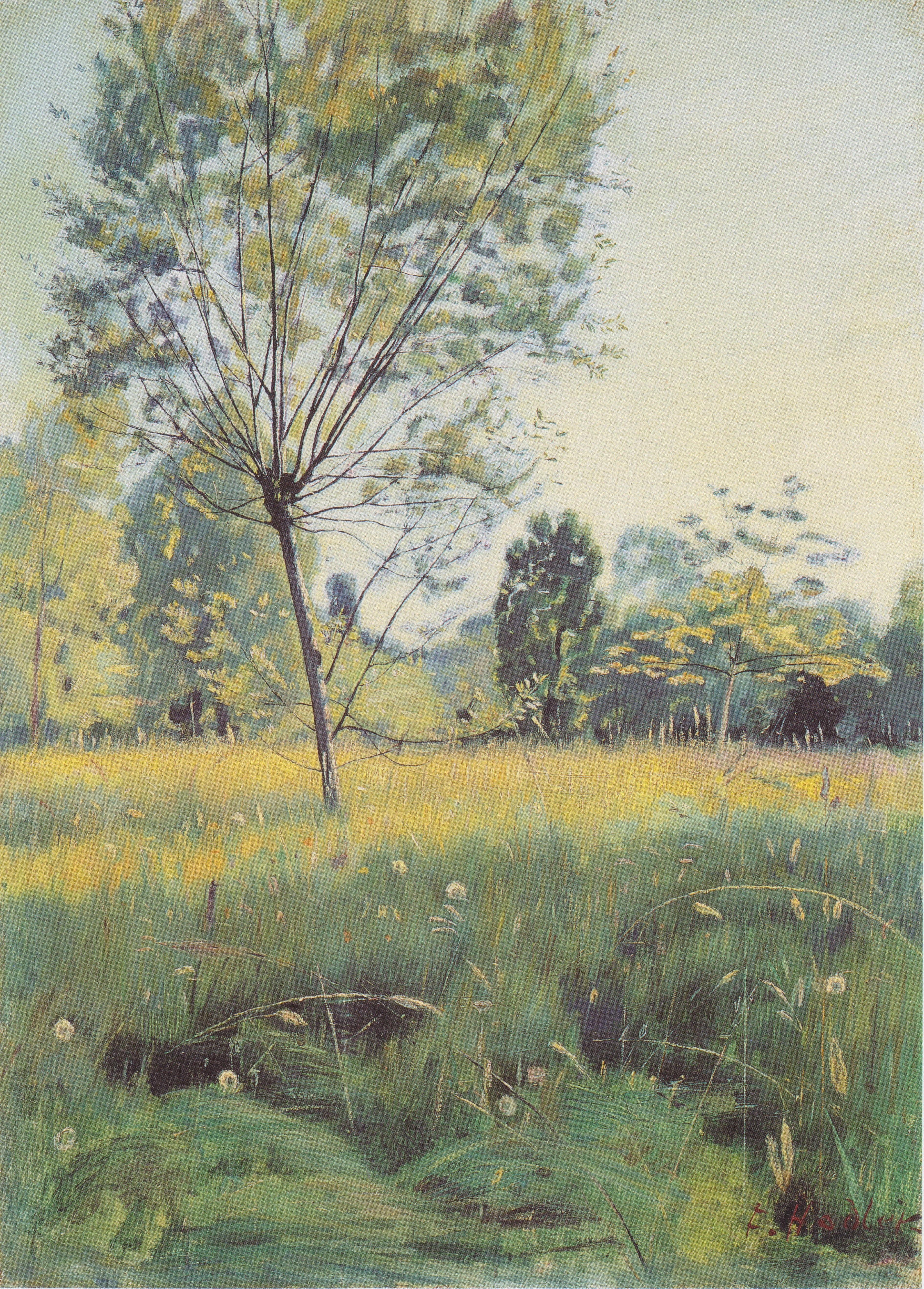 Q117536875 - Ferdinand Hodler - Alpha Reproduction