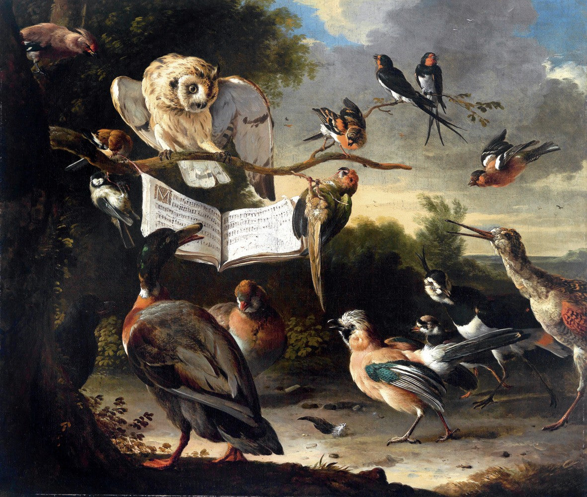 Concert d'oiseaux - Melchior de Hondecoeter