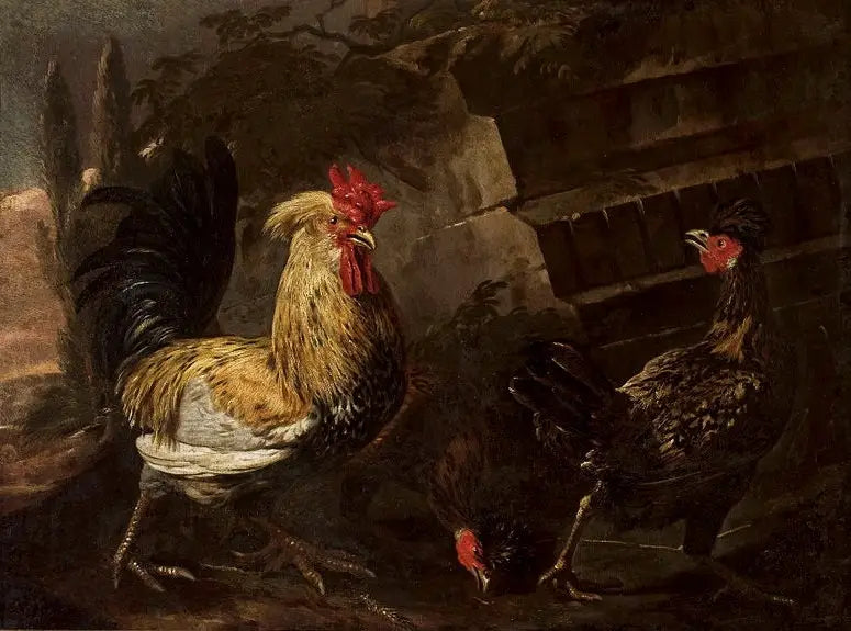 Rooster and hens. - Melchior de Hondecoeter