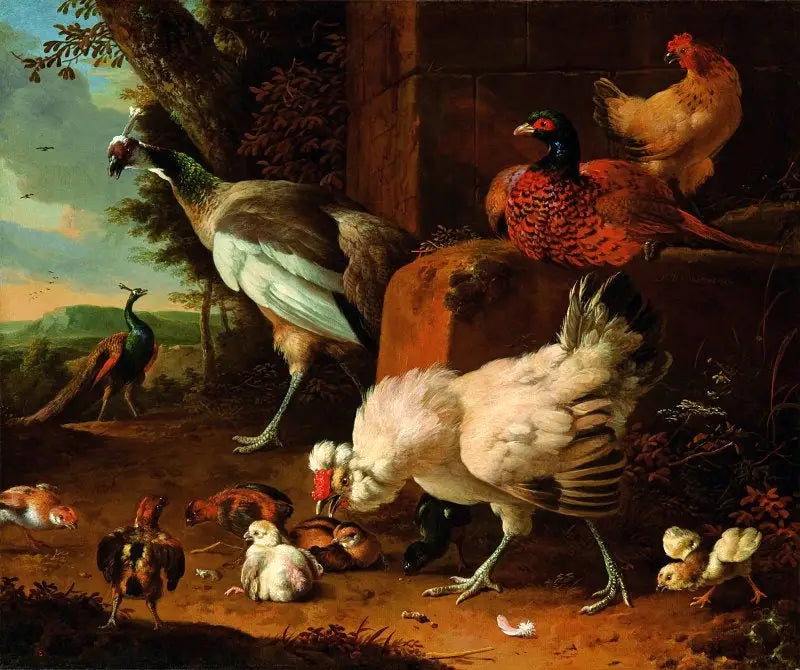 Domestic poultry with a pheasant and peacocks. - Melchior de Hondecoeter
