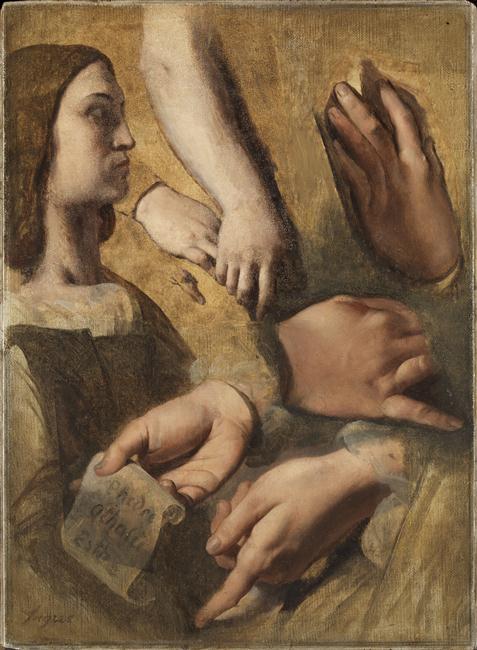Profile of Raphael, hands of Raphael, Root and Poussin, studies for the apotheosis of Homer - Jean-Auguste-Dominique Ingres