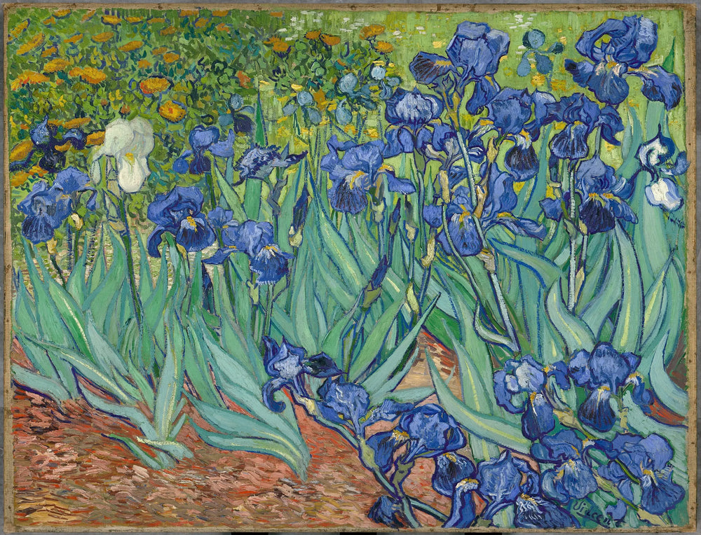 Iris - Vincent van Gogh - Alpha Reproduction