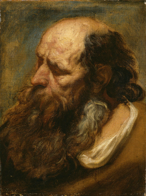 Étude de portrait d'un vieil homme barbu - Jacob Jordaens