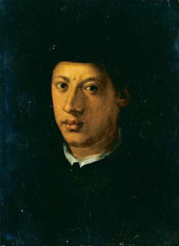 Alexandre de Médicis (1510-1537) - Pontormo - Alpha Reproduction