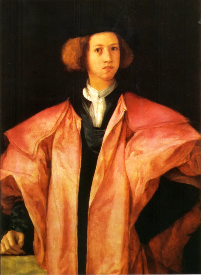 Portrait of a Young Man - Pontormo