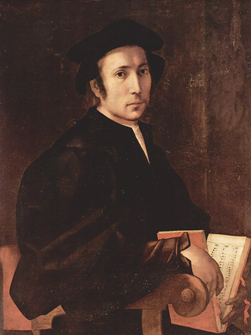 Portrait of a musician - Pontormo