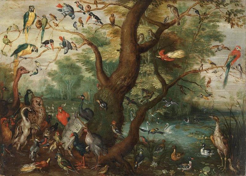 Das Vogelkonzert - Jan Brueghel l’Ancien