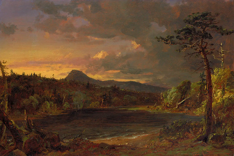 Catskill Stream - Jasper Francis Cropsey