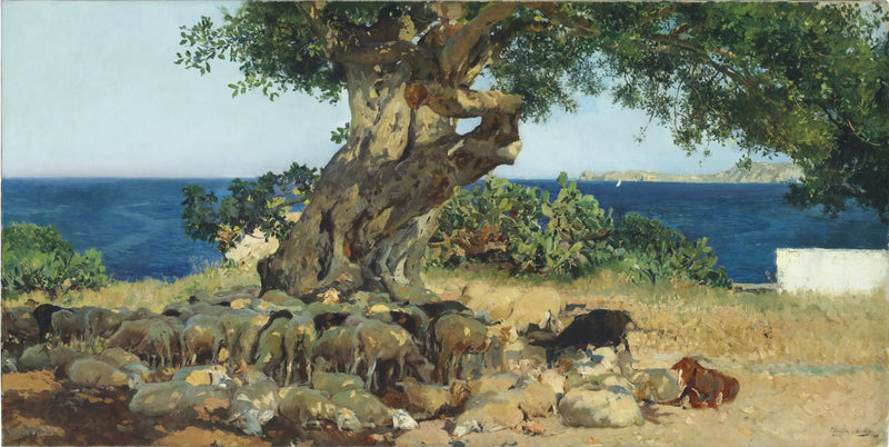 Carob Tree - Joaquín Sorolla