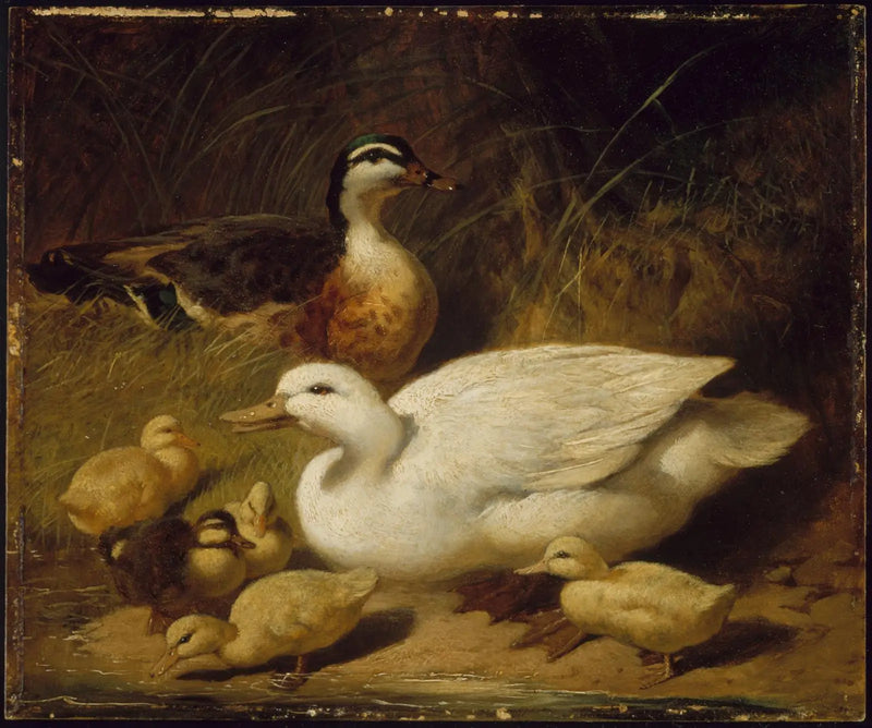 Ducks and Ducklings - John Frederick Herring, Sr.