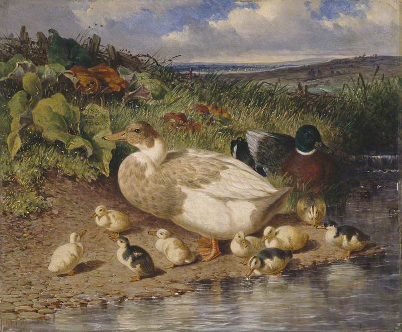 Canards au bord d'un ruisseau - John Frederick Herring, Sr.