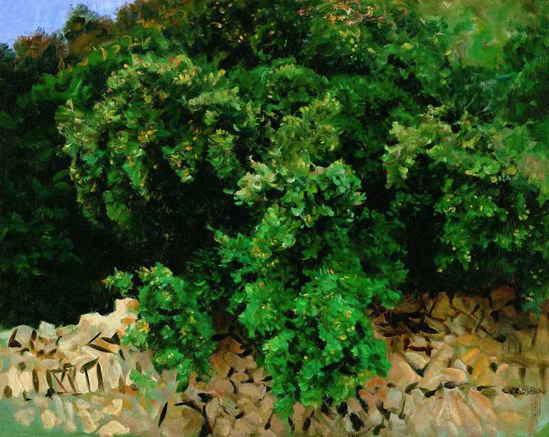 Holly Wood. Majorca - John Singer Sargent